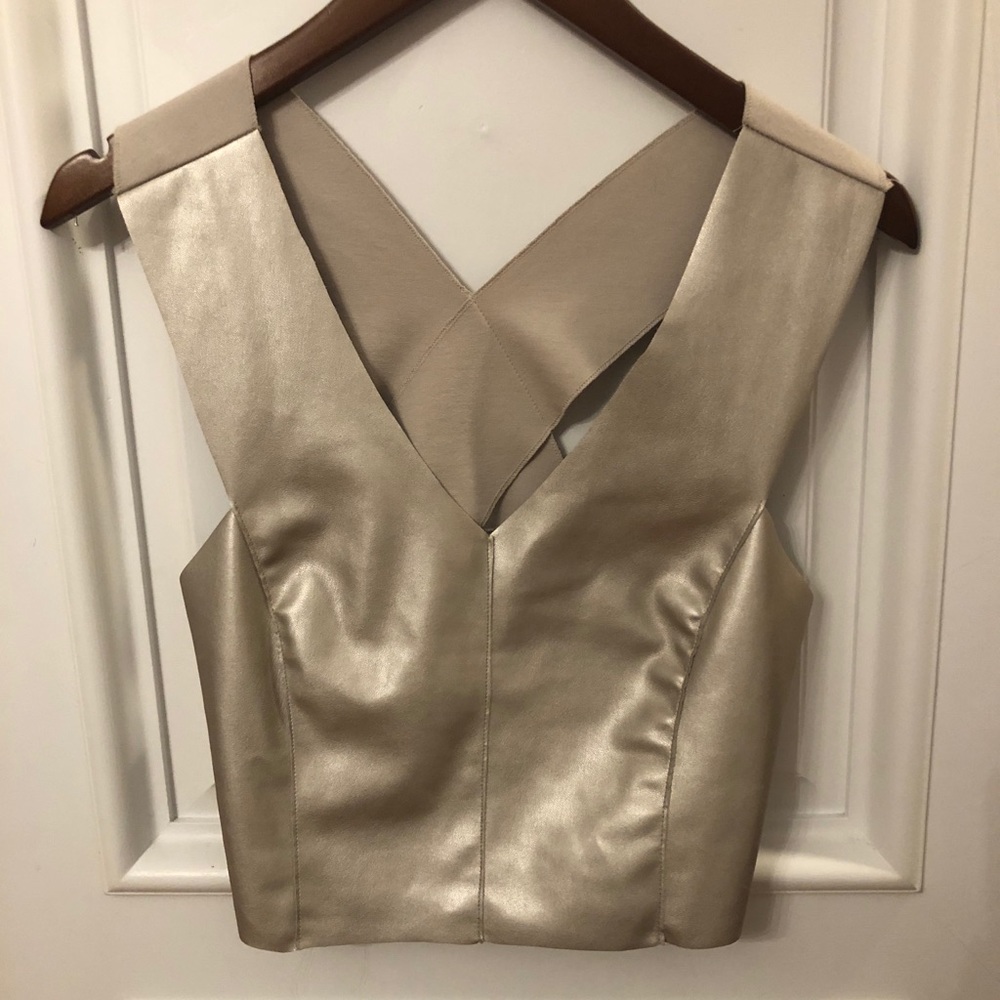 Zara Metallic Crop Top